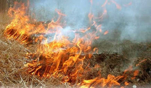 Верховна Рада підвищила штрафи за підпал сухостою у 18 разів